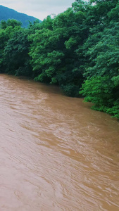梅雨季夏季雷雨天气暴雨后江河涨水自然灾害洪峰过境航拍江水浑浊视频