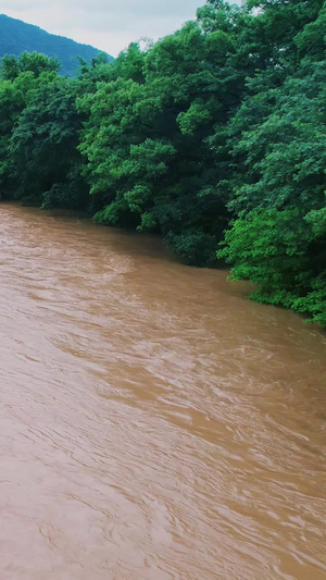 梅雨季夏季雷雨天气暴雨后江河涨水自然灾害洪峰过境航拍江水浑浊59秒视频