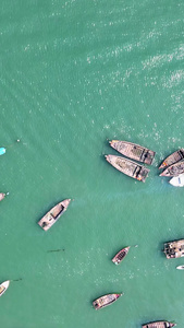 俯瞰渔船船队归岸进港口大连滨海边山型地貌视频