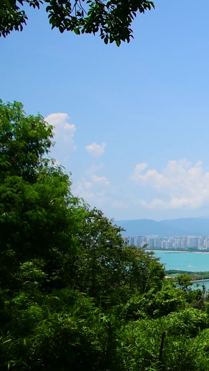 三亚鹿回头景区观光平台美景城市风光26秒视频