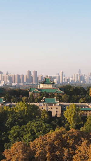 航拍武汉大学樱顶老建筑群秋天校园地标素材城市素材65秒视频