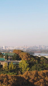航拍武汉大学樱顶老建筑群秋天校园地标素材城市素材视频