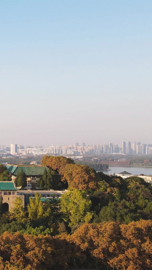航拍武汉大学樱顶老建筑群秋天校园地标素材城市素材65秒视频