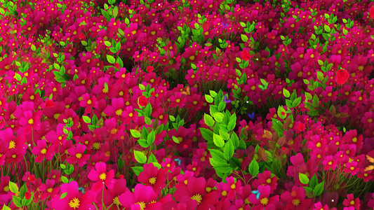4K唯美的鲜花背景素材视频