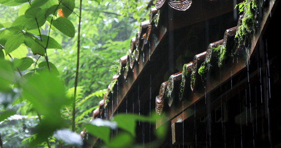 4K多角度拍摄古建筑屋檐雨滴滴落合集[第一辑]视频