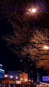 北京长安街地标夜景城市宣传片视频