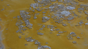 藻类细菌垫黄石国家公园的温泉温泉池美国怀俄明州25秒视频