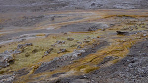 藻类细菌垫黄石国家公园的温泉温泉池美国怀俄明州29秒视频