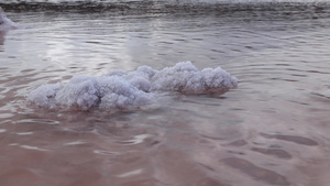 干枯的库亚尔尼茨基河口海水嗜盐菌19秒视频
