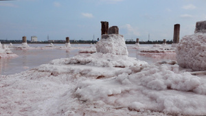 干燥河口18世纪古老盐业的木柱上的22秒视频