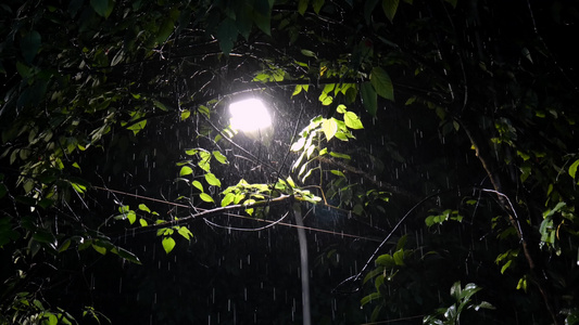 街灯夜雨唯美雨滴路灯光影雨水街灯慢镜拍摄视频