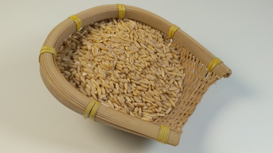燕麦五谷杂粮4K视频[细粮]视频