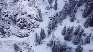 一群人走过一片雪地峡谷8秒视频