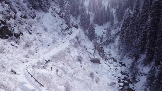 一群人在山上登铁梯视频
