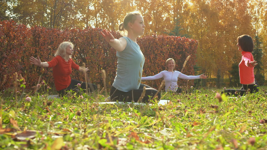 参加公园草地健身锻炼的妇女群体视频