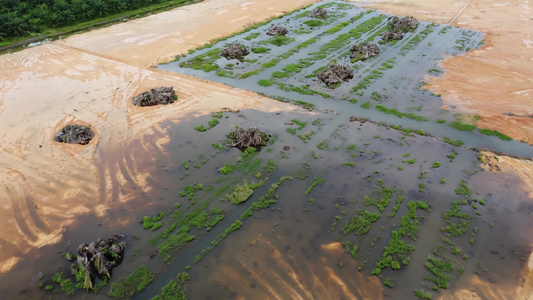 空中观察红土和死油棕榈树视频