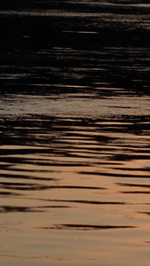 实拍日落的湖泊视频