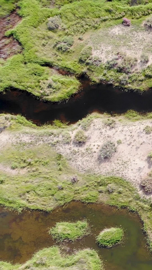 沼泽湿地俯视航拍大地母亲46秒视频