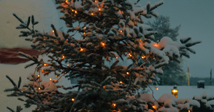 圣诞树的夜景灯光照亮15秒视频