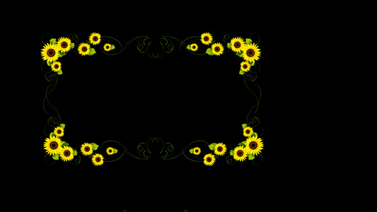 向日葵生长边框视频