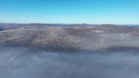 大兴安岭自然风光冬天寒雾山林雪景视频