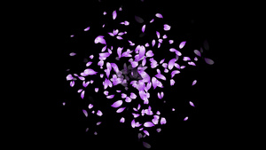 紫色环绕扩散粒子花瓣30秒视频