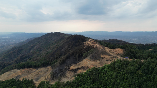 重庆北碚山火过后的缙云山焦土与隔离带航拍资讯素材视频