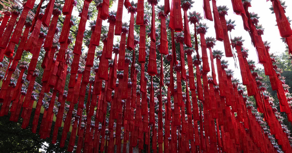 杭州灵隐寺 阳光穿透祈福红丝带视频