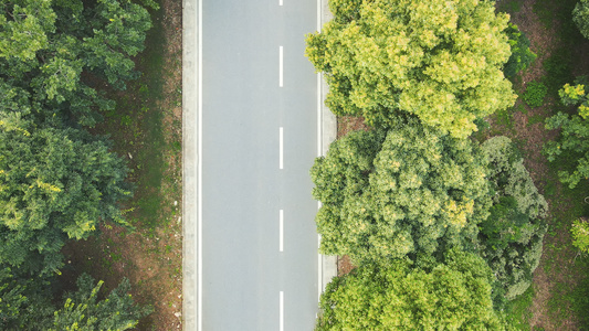 航拍风光城市公园绿道风景环境跑道绿化步行道路素材视频