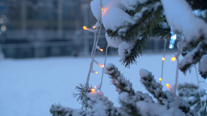 在雪下户外的圣诞树20秒视频