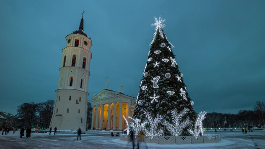 圣誕樹在教堂广场上位于利图尼亚州vilnius4k视频