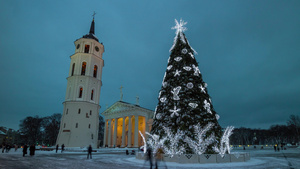 圣誕樹在教堂广场上位于利图尼亚州维尔纽斯7秒视频