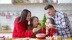 圣诞节快乐家庭烘烤饼13秒视频
