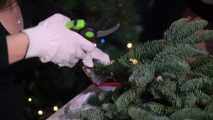 为庆祝圣诞节和新年做准备这个女孩用云杉树枝做一个花环11秒视频