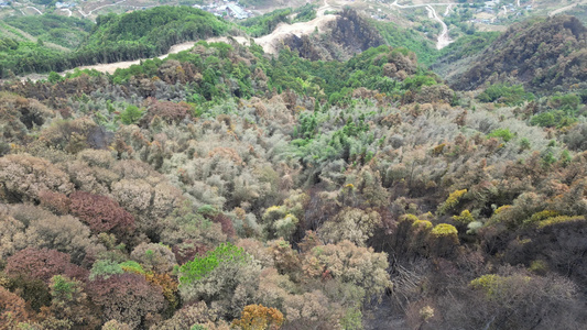 重庆北碚山火过后的缙云山焦土与隔离带航拍资讯素材视频