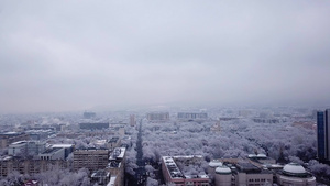 雪白的树木在城市的石屋中9秒视频