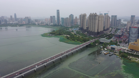 航拍中国湖北武汉沙湖公园湖泊湿地沙湖大桥视频