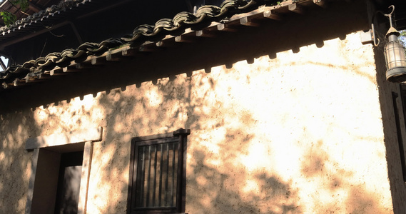 杭州法云安缦古典建筑白墙 树影 唯美光影视频