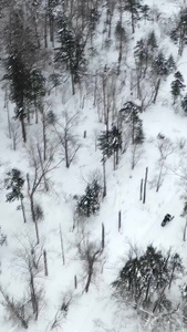 航拍林中雪地摩托雪上运动视频