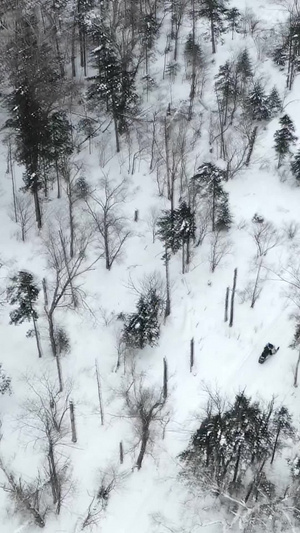 航拍林中雪地摩托雪上运动28秒视频