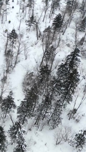 航拍林中雪地摩托冬季运动会视频