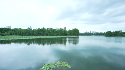 武汉东湖生态旅游风景区视频