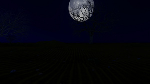 满月在树后面夜间没有枝木26秒视频