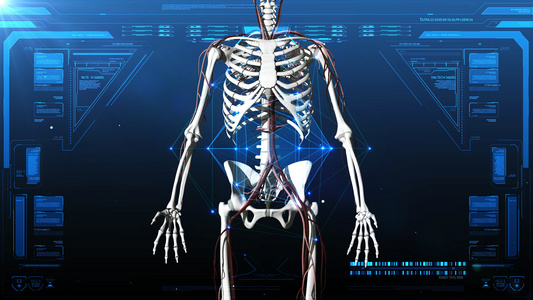 4K三维人体骨骼静脉背景[3D立体]视频