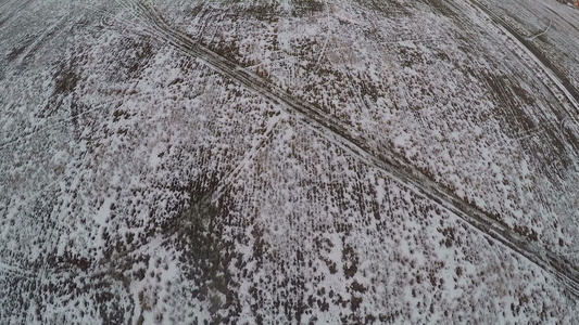 飞过辽阔的雪地俄罗斯视频