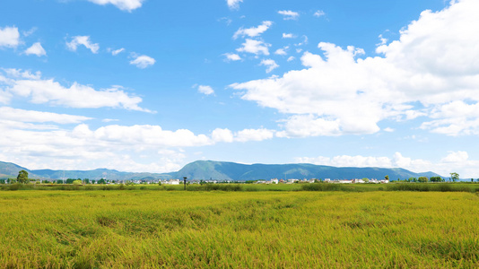 大理风景视频