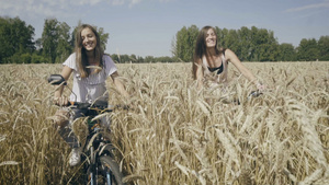 在小麦田骑自行车的妇女23秒视频