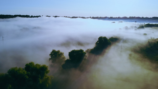 雾空视图中的森林视频
