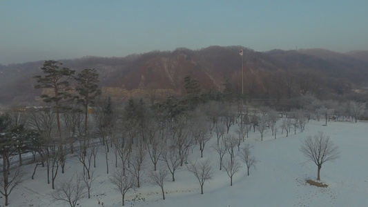 无人驾驶飞机飞越雪覆盖的树上视频