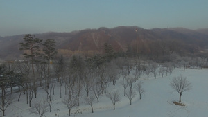 无人驾驶飞机飞越雪覆盖的树上7秒视频